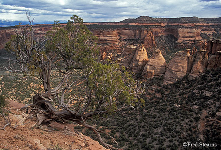 Colorado National Monument Coke Ovens